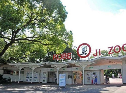 徒歩圏内にある『王子公園』内には、ジャイアントパンダやコアラなどがいる『神戸市立王子動物園』がある。「息子を連れて時々遊びに行きます。近くにこういう場所があると有難いですね」