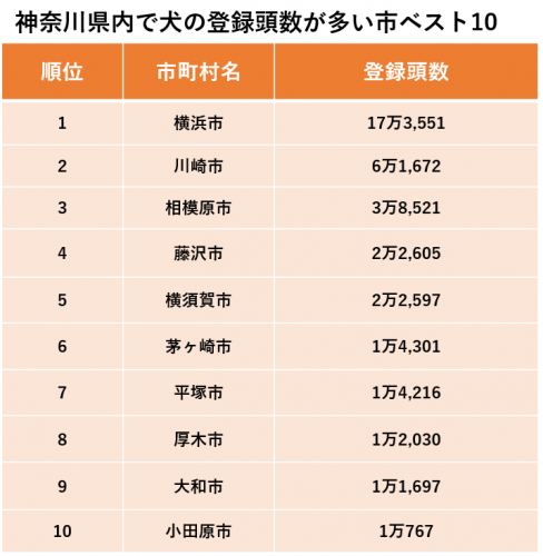 神奈川県内で犬の登録頭数が多い市ベスト10