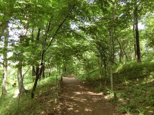浅間山公園内の歩道