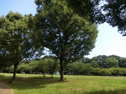 西東京いこいの森公園