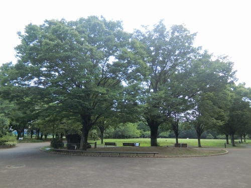 西東京いこいの森公園