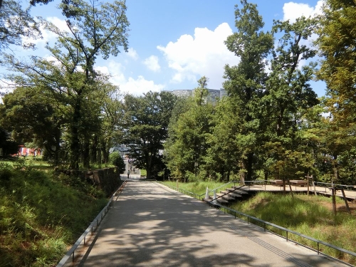 武蔵野樹林パーク