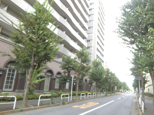 新松戸駅の街路