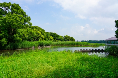谷津干潟公園