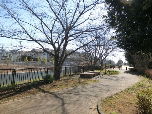 吉川市きよみ野の歩道