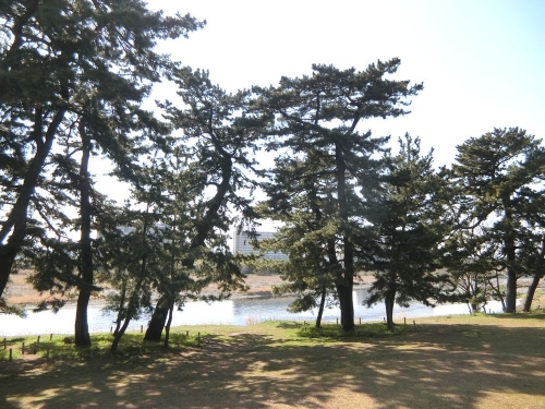多摩川五本松公園
